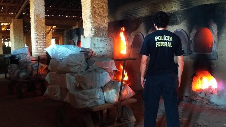 Polícia Federal incinera 300 kg de maconha em Bauru