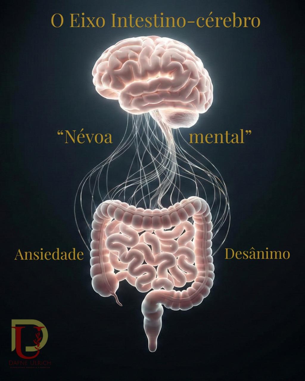 Seu Intestino, Seu Primeiro Cérebro: A Causa Oculta da Sua Ansiedade e Falta de Foco Pode Estar na Sua Digestão.