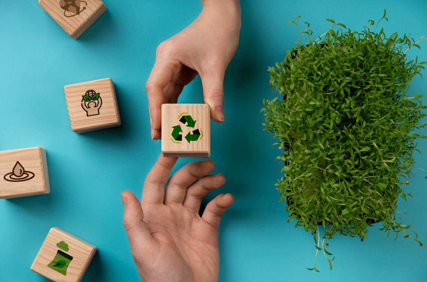Greenwashing: quando o produto parece sustentável, mas não é