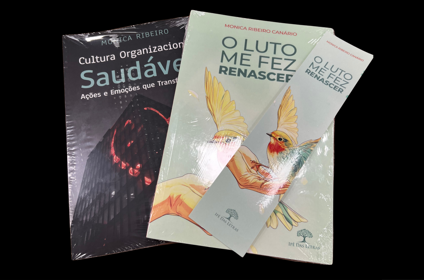 Entre o amor que permanece e a liderança que transforma: a escrita como ponte entre dor e propósito